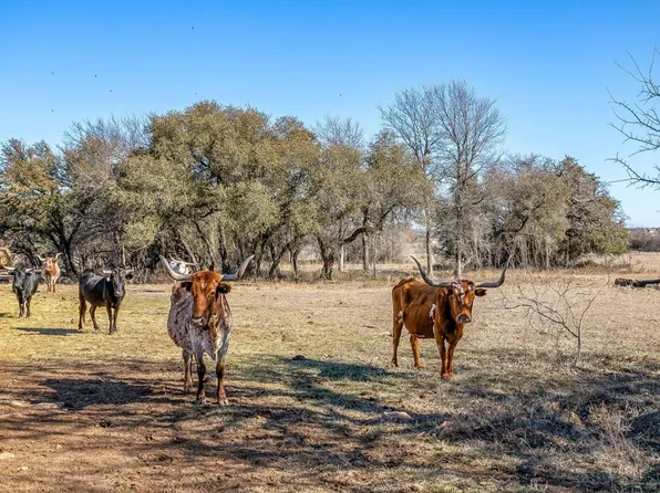Fm 2210, Bridgeport, TX 76426