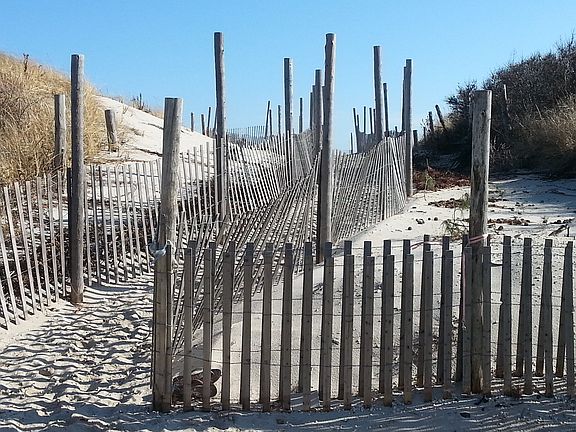 Easy walk over the dune