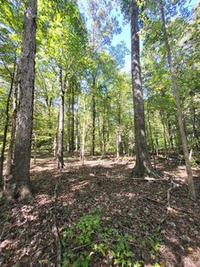 9 Cedar Lake Rd LOT 9, South Boston, VA, 24592