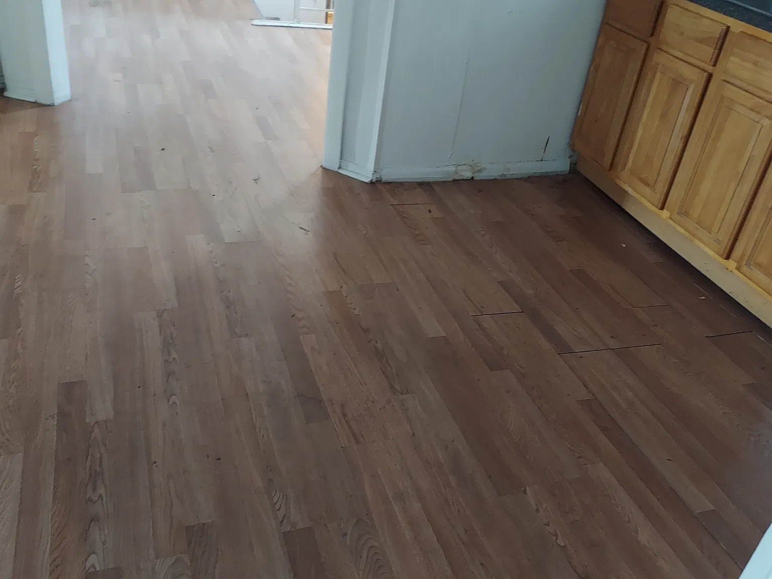 2 bed, 1000 sqft, $1,700 — Photo 3