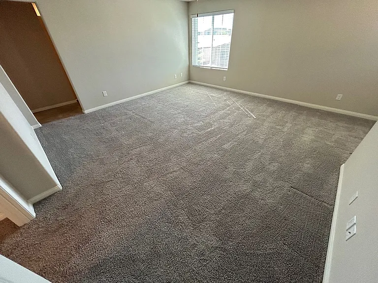 7526 Pink Mimosa Ave — Photo 23