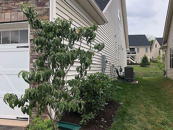 3rd image of 6006 Trotters Point Ln