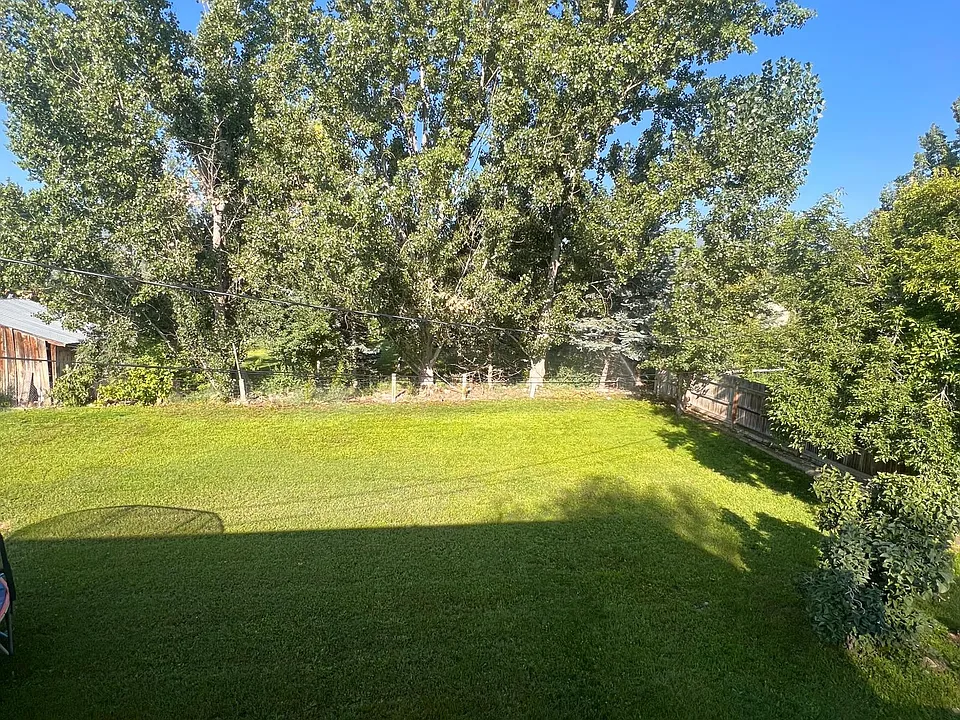 Gorgeous Back Yard