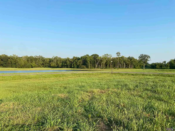 LOT 20 Buddy Gore Rd Lot 20, Gonzales, LA 70737