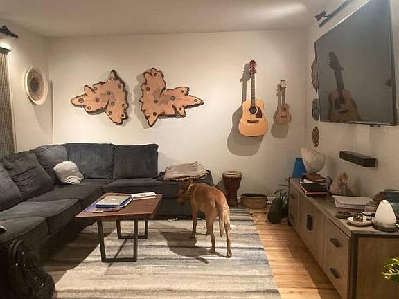 apartment does not come with rusty the dog