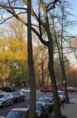 Rented by Compass | media 27