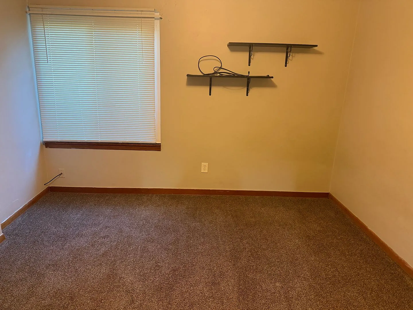 2551 Tilbrook Rd — Photo 4