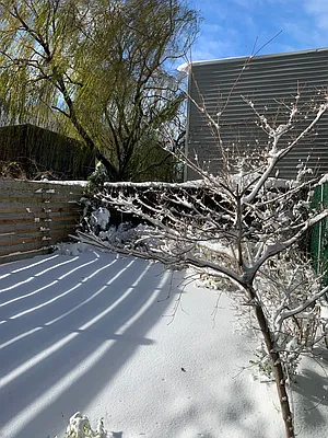 Rented by Nest Seekers International | media 11