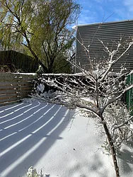 Rented by Nest Seekers International