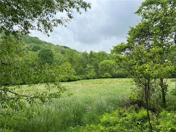 0 White Cloud Rd, Allegheny Twp, PA 15656