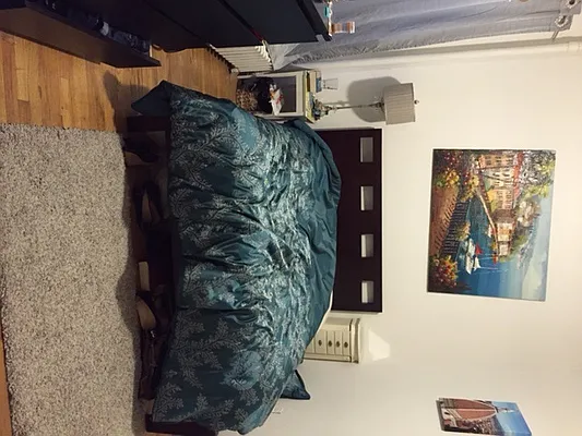 Rented by Pink Stone Realty LLC | media 23