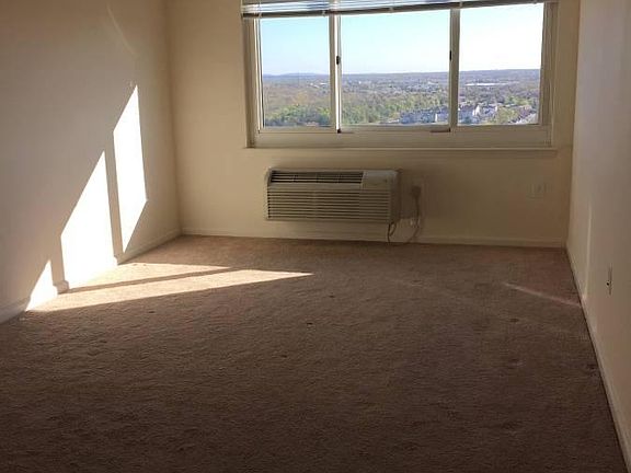 Spacious bedroom with plush carpet. You can fit a king size bed and still have plenty of space.