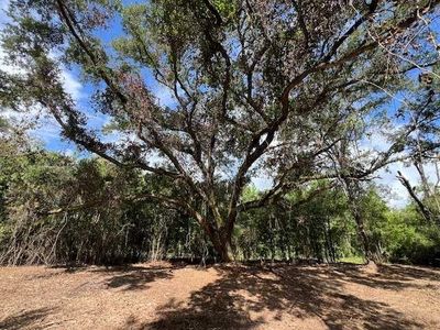 Laird Rd, Florala, AL, 36442