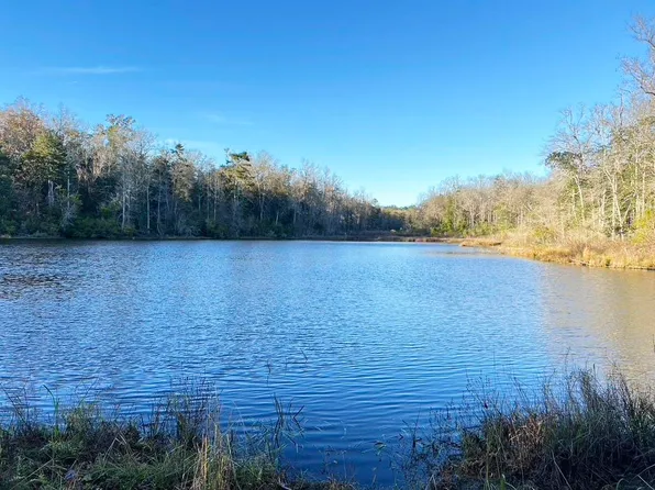 2035 Salley Brown Rd, Quincy, FL 32351