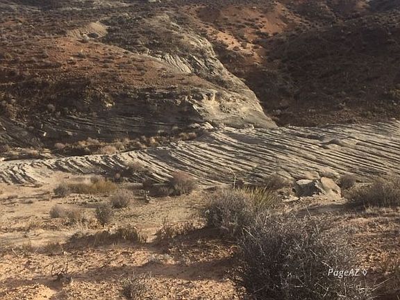 3rd image of 110 S Anasazi Dr