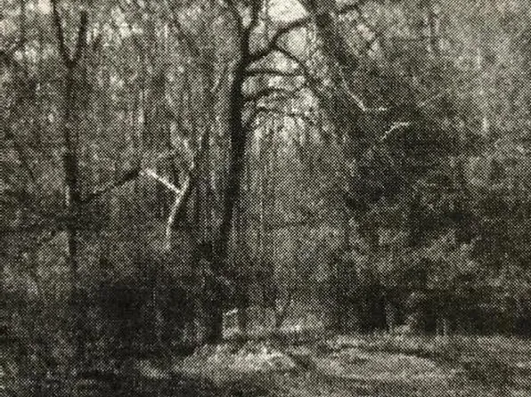 0 Hominy Hill Road, Colts Neck, NJ 07722