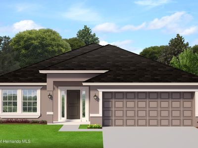 5539 Coral Reef Ct, Spring Hill, FL, 34609