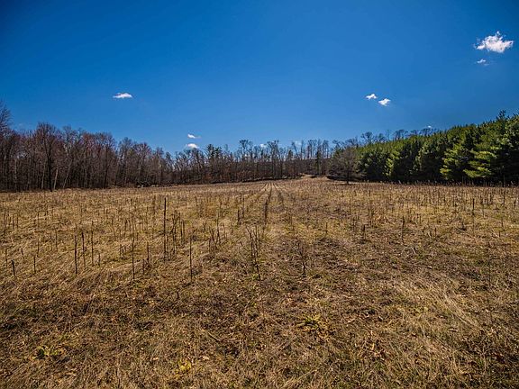 4th image of Lowes Creek Rd