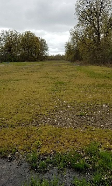 2nd image of Thompson Rd