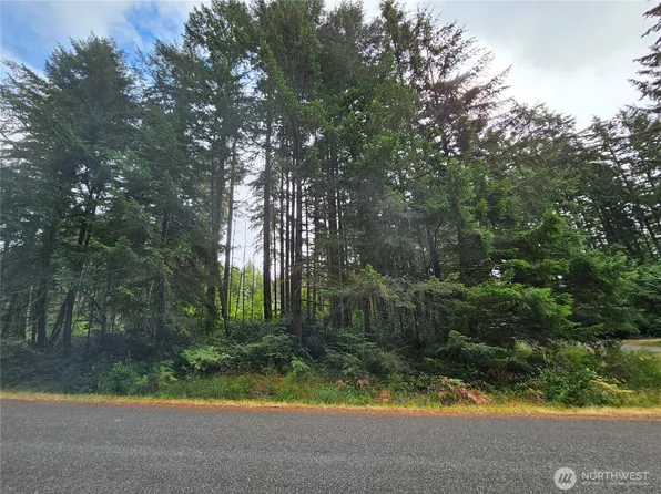 9325 123rd Avenue, Anderson Island, WA 98303