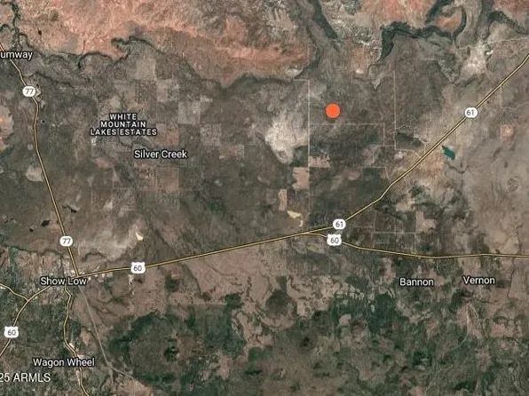 62 COUNTY ROAD 8238 Road #85, Concho, AZ 85924