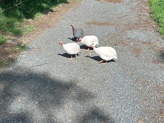 5th image of 7045 Mount Vernon Rd