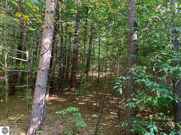 4th image of 0 W Timber Ln