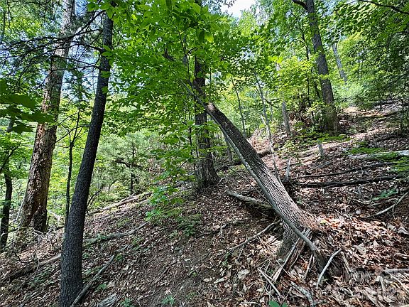 4th image of 23 Bear Track Ln #23