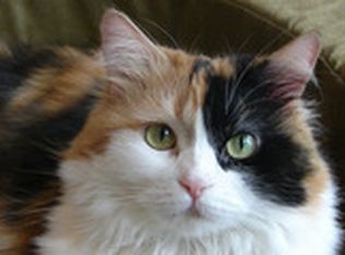 143 Lakeshore Dr, Mathis, TX 78368