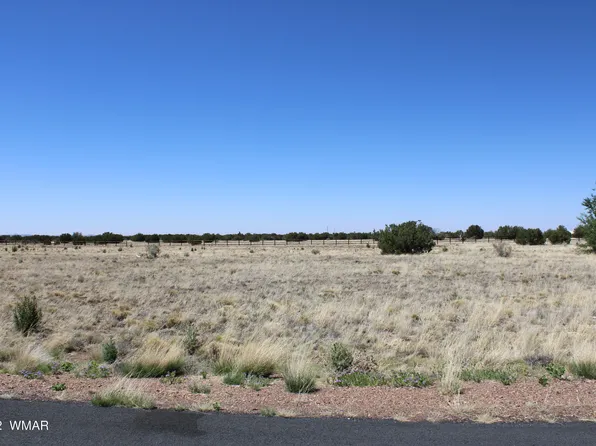 7708 Arroyo Plata Dr, Show Low, AZ 85901