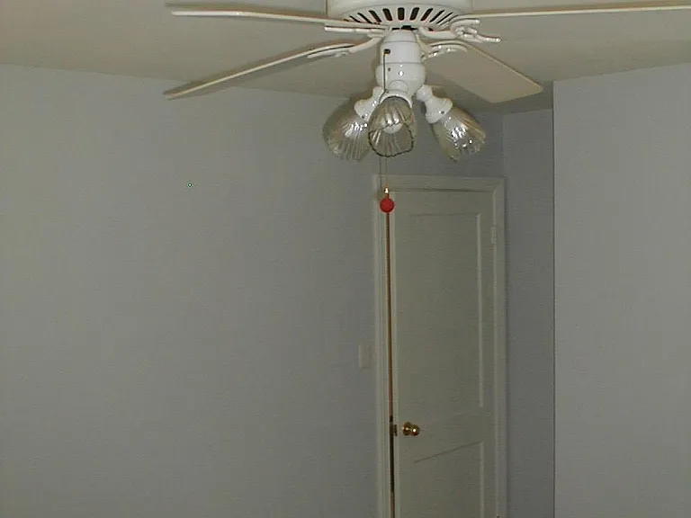 Back Bedroom
