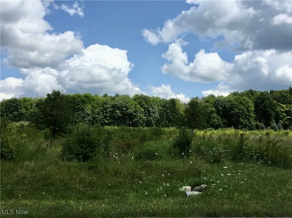 15665 Harmony Falls Ln, Novelty, OH 44072