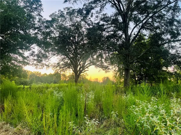 12000 Payneville #12, Livingston, AL 35470