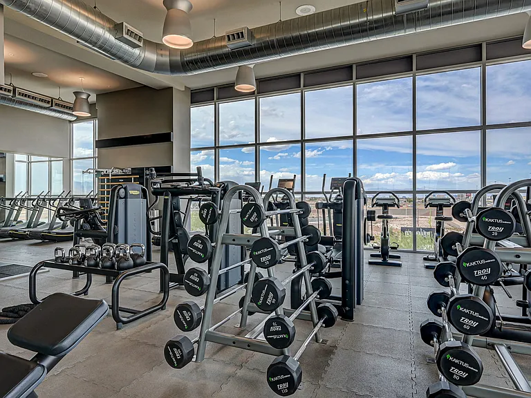Weights Area