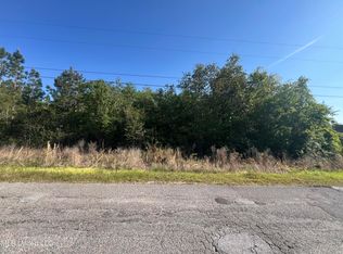 19719 Brighton Dr #32, Saucier, MS 39574