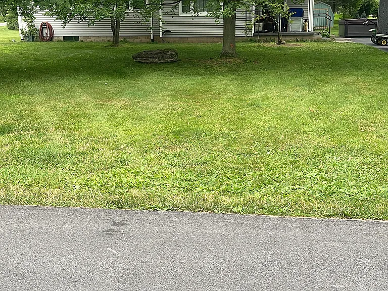 Creekview Dr — Photo 2
