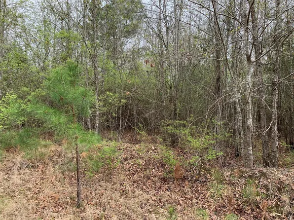 0 Sikes Orchard Rd, Jamestown, LA 71045