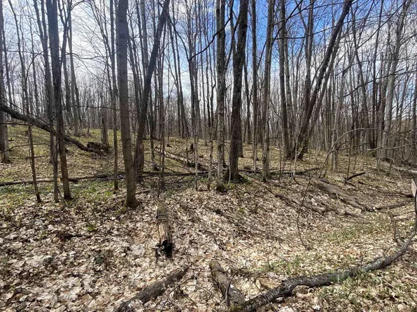 Lots 292 293 Jaeger Strasse #292/93, Bellaire, MI 49615