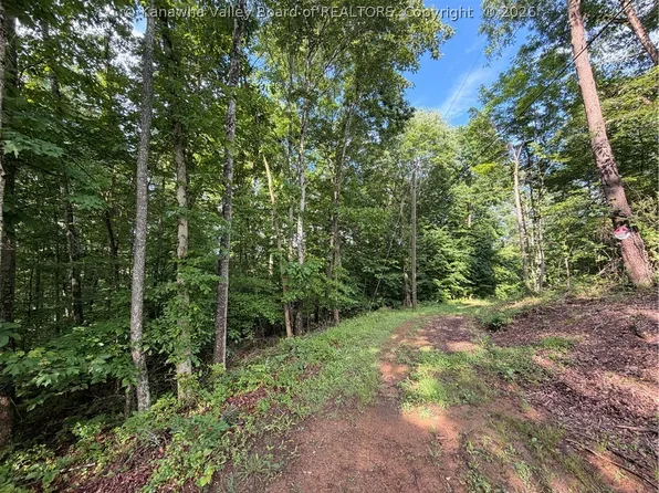 0 County Road 28, Tornado, WV 25202