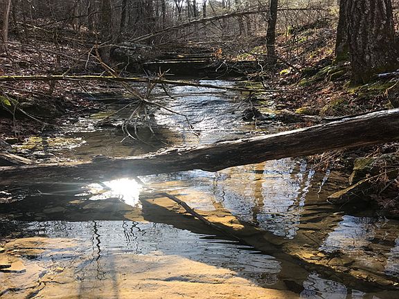 3rd image of 430 Zone Ridge Ln