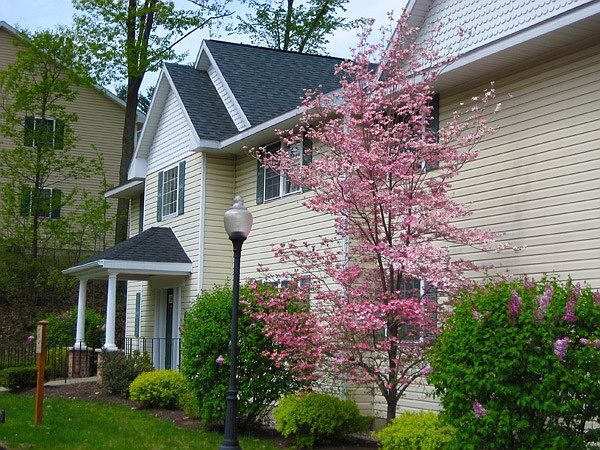 4 Unit Building with private driveway!