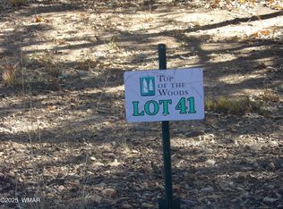 2553 Willow Run #41, Lakeside, AZ 85929