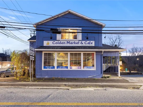 8796 State Rd, Colden, NY 14033