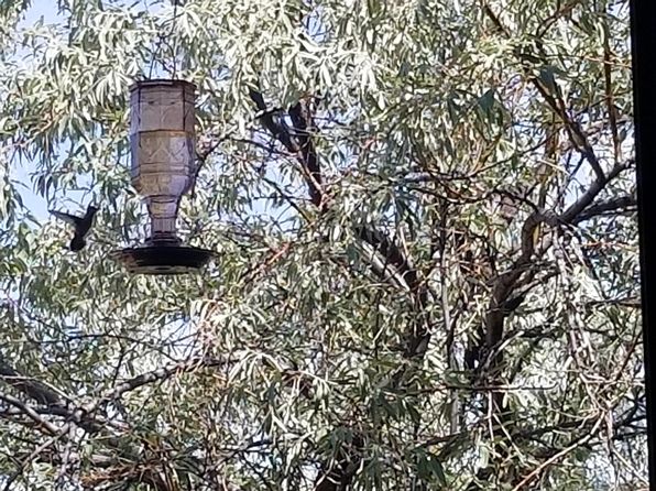 941 Calle Mejia APT 212