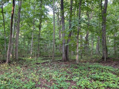 1 Elliot Ave #B, Put In Bay, OH, 43456