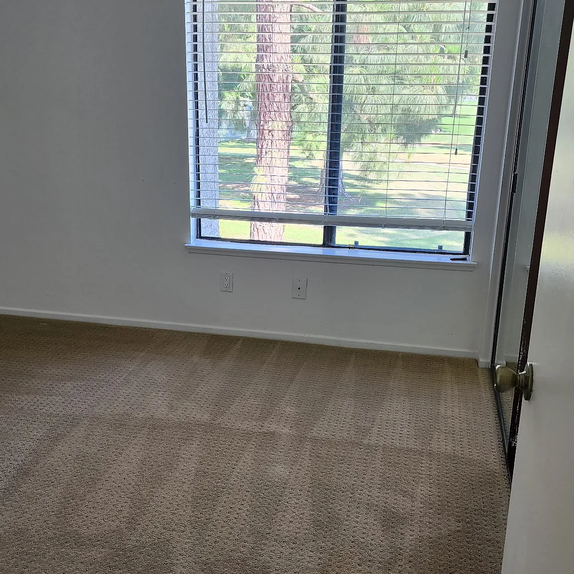 2 bed, 930 sqft, $2,800 — Photo 3