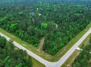10517 Single Shot Ln, Willis, TX 77378