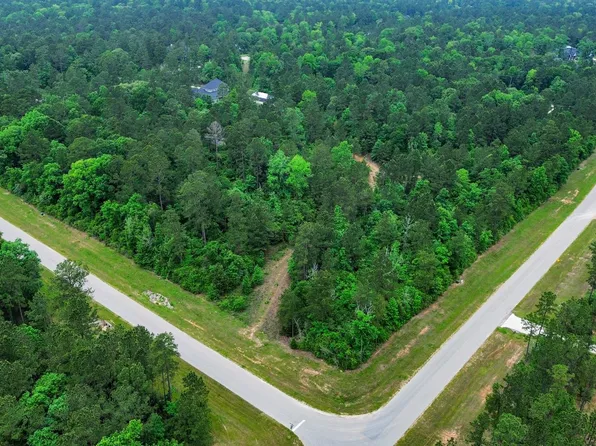 10517 Single Shot Ln, Willis, TX 77378