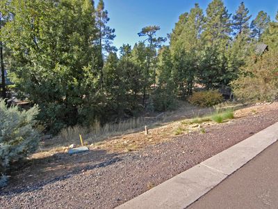 2621 S Marshalls Run, Show Low, AZ, 85901