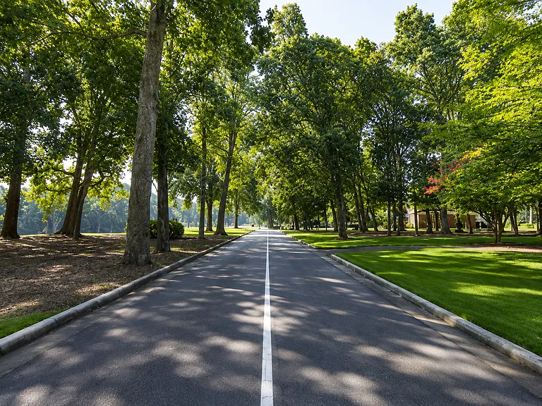Bermuda Run Drive